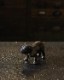 Bulldog Ornament B�å֥�ɥå��Υ����ʥ��� B