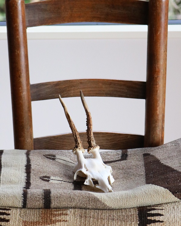 Deer Skull �ü���Ƭ��