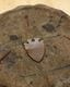 Copper Arrowhead Charm / 1970s�å��åѡ� �������إå� ���㡼���1970ǯ���