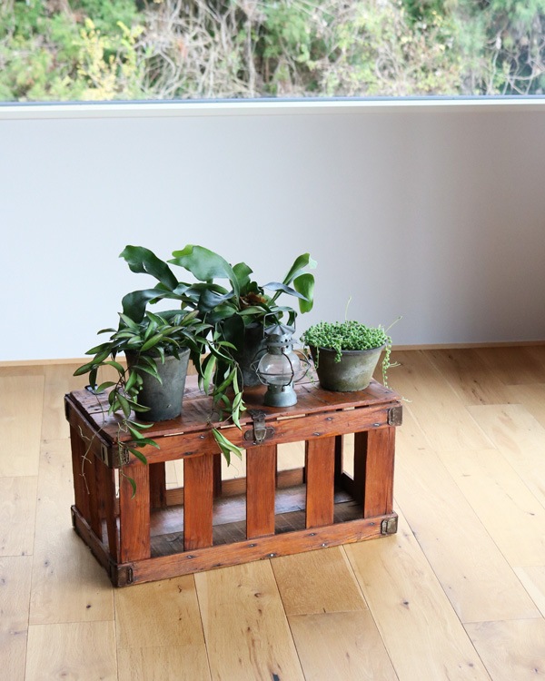 Chicken Crate �å����󥯥졼��