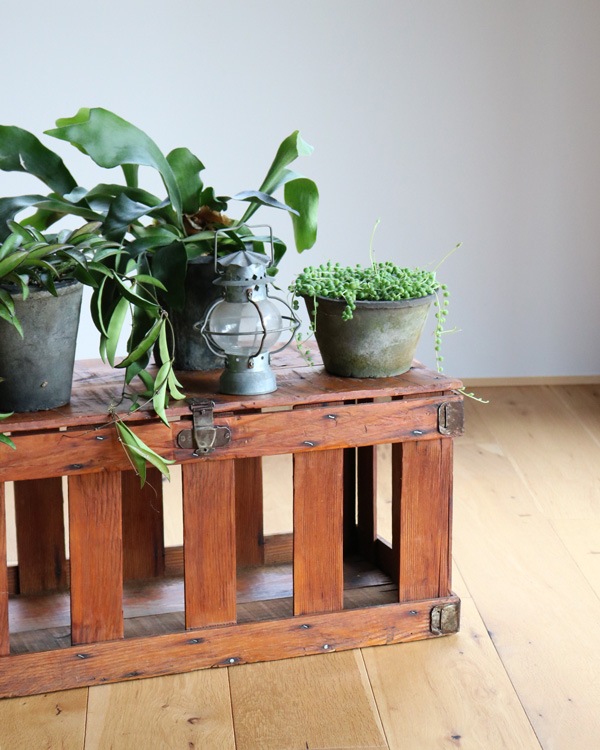 Chicken Crate �å����󥯥졼��