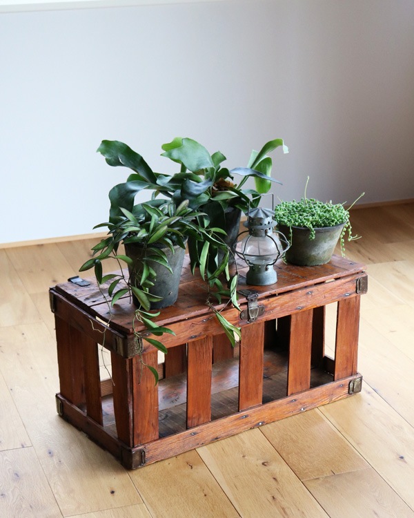 Chicken Crate �å����󥯥졼��