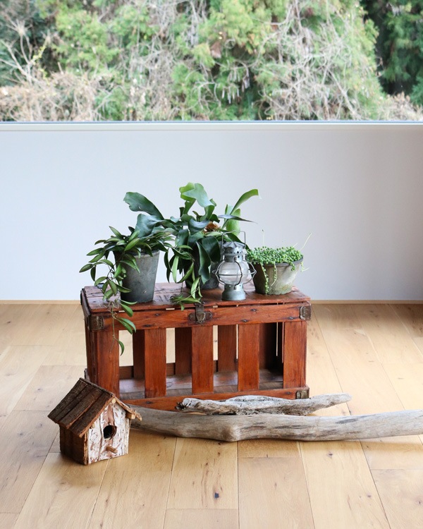 Chicken Crate �å����󥯥졼��