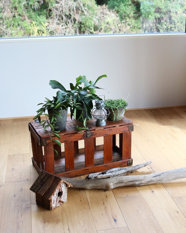 Chicken Crate �å����󥯥졼��