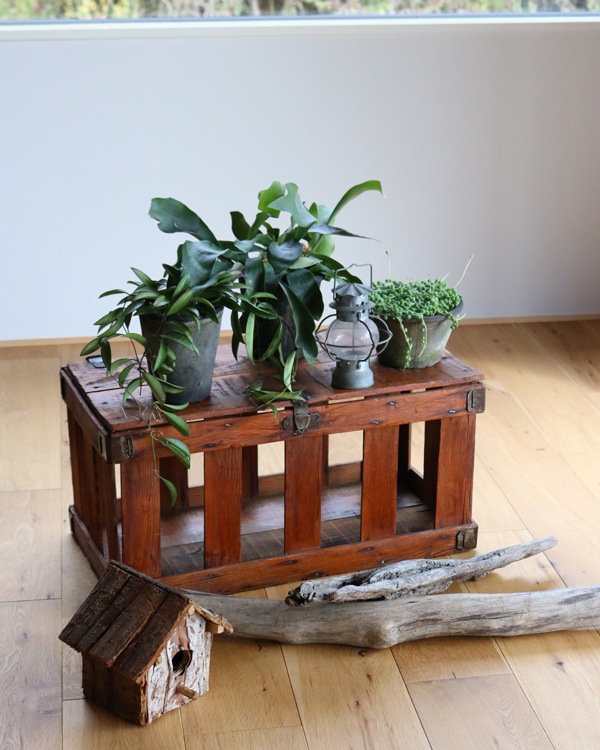 Chicken Crate �å����󥯥졼��