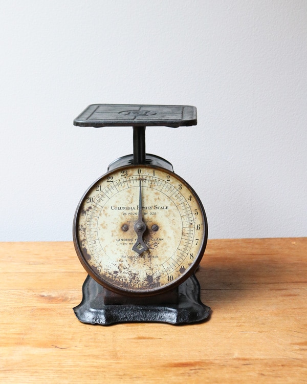 "COLUMBIA" Family Scale / 1920s��"COLUMBIA" �ե��ߥ꡼���������1920ǯ���