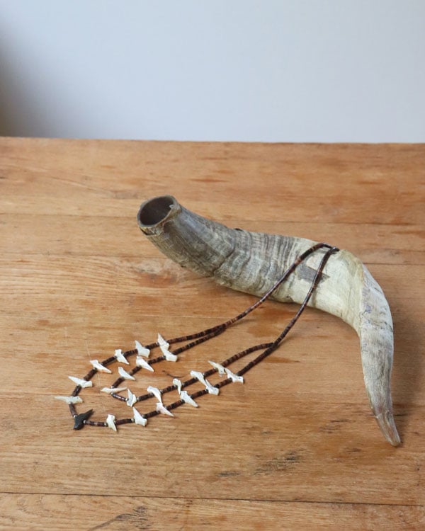 Native American Fetish Necklace｜ネイティブアメリカン