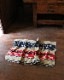 Small Camp Blanket�å����ץ֥�󥱥å� ���⡼��