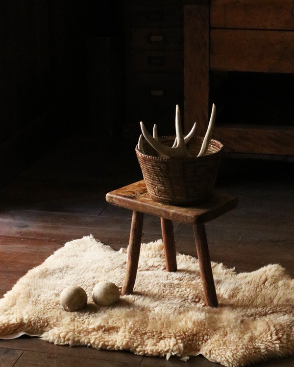 Early Elm Milking Stool�å����꡼�����ߥ륭�󥰥��ġ���
