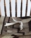 Deer Antler  L-No.08üγ L-No.08
