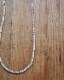 White Shell Necklace�åۥ磻�ȥ�����ͥå��쥹