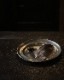 Pewter Plate B�åԥ塼�����ץ졼�� B