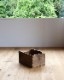"HERCULES" Jointed Wood Box��"HERCULES" ���åɥܥå���