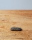 "WOOLFORD WOODTANKS" Advertising Paper Weight��"WOOLFORD WOODTANKS" �ڡ��ѡ���������