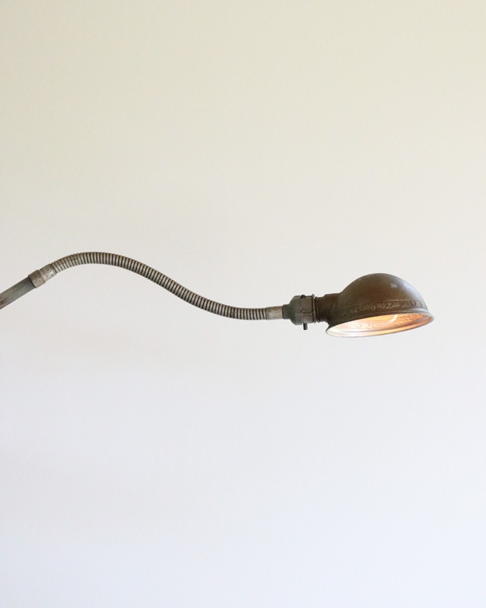 "ADJUSCO" Gooseneck Industrial Lamp��"ADJUSCO" �������ͥå� ��������ȥꥢ�� ����