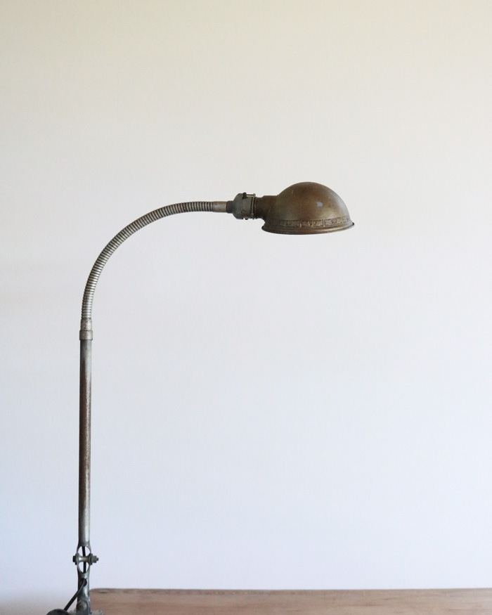 "ADJUSCO" Gooseneck Industrial Lamp��"ADJUSCO" �������ͥå� ��������ȥꥢ�� ����
