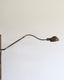 "ADJUSCO" Gooseneck Industrial Lamp��"ADJUSCO" �������ͥå� ��������ȥꥢ�� ����