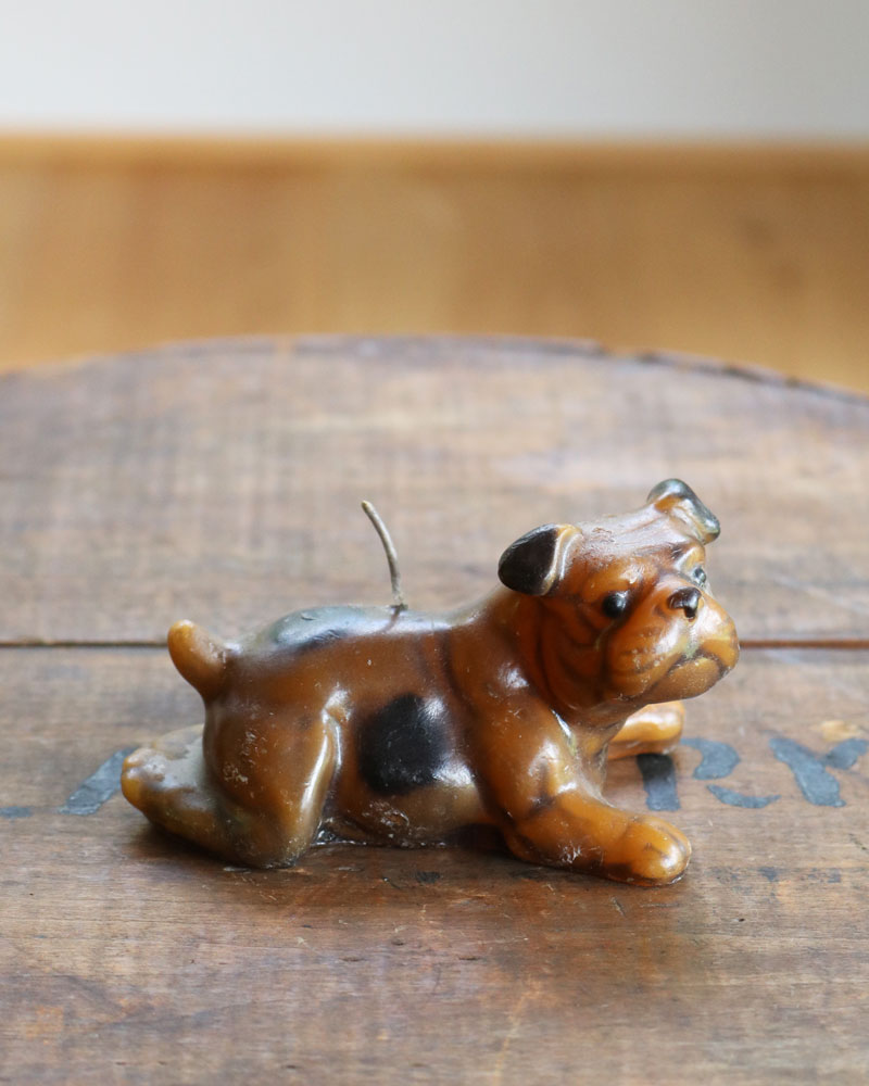 c.1950s Figural Candle “BULLDOG”｜1950年代頃 フィギュラルキャンドル “ブルドッグ”