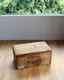 "HOOD" Wood Shoes Container B �� "HOOD"���塼������ƥ�