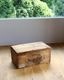"HOOD" Wood Shoes Container B �� "HOOD"���塼������ƥ�