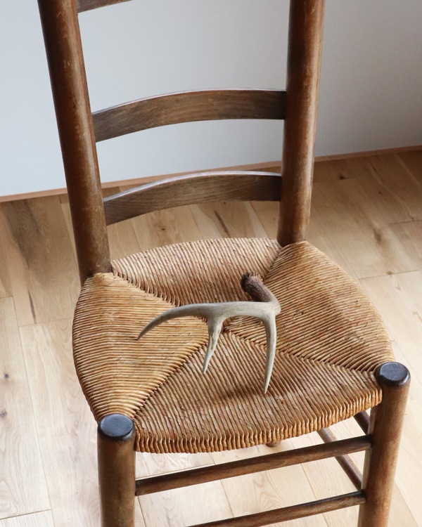Deer Antler No.12�ü��γ� No.12