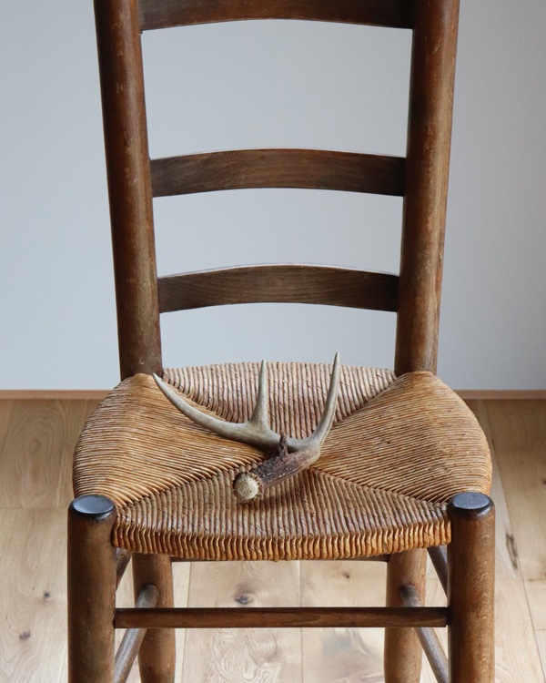Deer Antler No.12�ü��γ� No.12