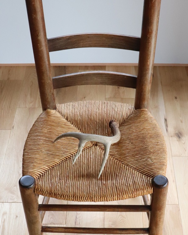 Deer Antler No.12�ü��γ� No.12