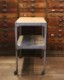 Caster Wagon�å��㥹�����若��