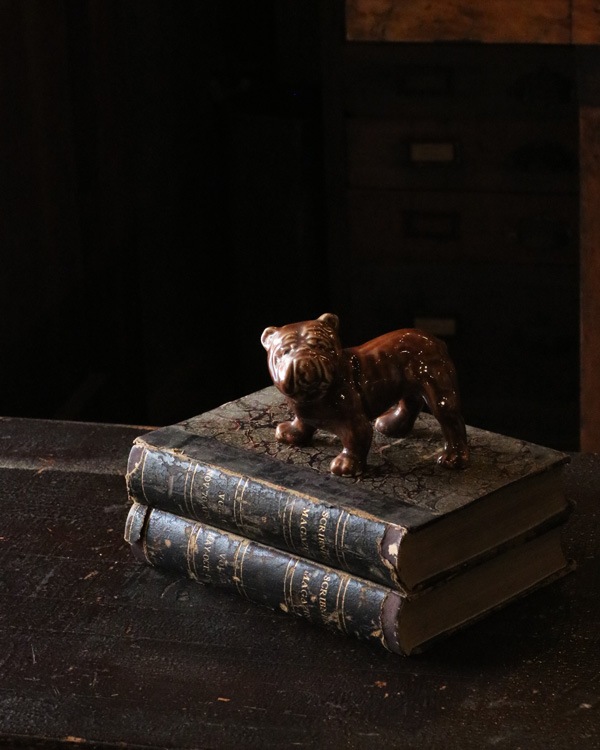 Bulldog Ornament BO-05 �å֥�ɥå������ʥ��� BO-05