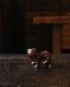 Bulldog Ornament BO-05 �å֥�ɥå������ʥ��� BO-05
