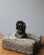 Indian Coin Bank�å���ǥ�����Υ�����Х�