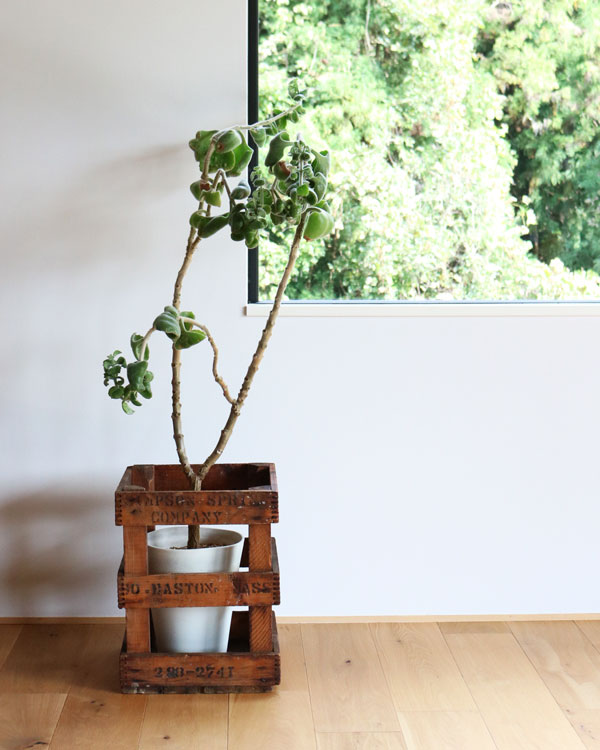 Water Bottle Crate�å����������ܥȥ륯�졼��