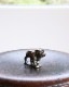 Bulldog Ornament A�å֥�ɥå������ʥ��� A