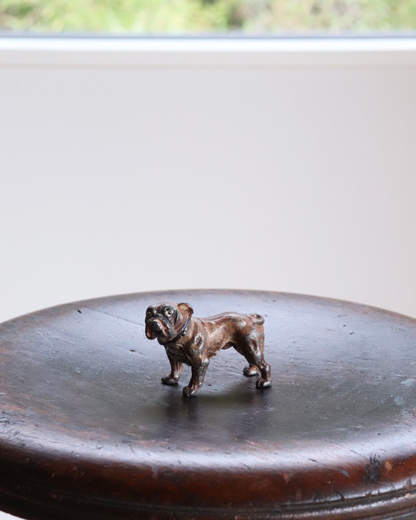 Bulldog Ornament B�å֥�ɥå������ʥ��� B