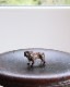 Bulldog Ornament B�å֥�ɥå������ʥ��� B