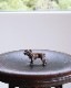 Bulldog Ornament B�å֥�ɥå������ʥ��� B