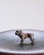 Bulldog Ornament B�å֥�ɥå������ʥ��� B
