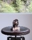 Indian Chief Coin Bank�å���ǥ�����Υ�����Х�