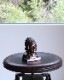 Indian Chief Coin Bank�å���ǥ�����Υ�����Х�