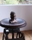 Indian Chief Coin Bank�å���ǥ�����Υ�����Х�