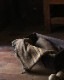 Horse Blanket HB-003�åۡ����֥�󥱥å� HB-003