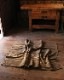 Horse Blanket HB-003�åۡ����֥�󥱥å� HB-003