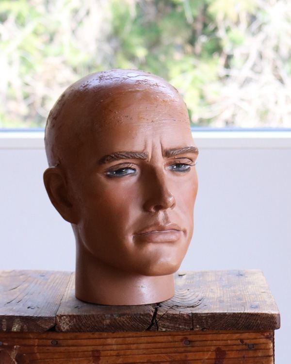 Mens Mannequin Head A�å�� �ޥͥ���إå� A