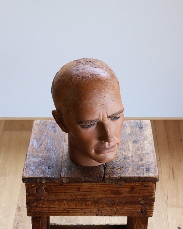 Mens Mannequin Head A�å�� �ޥͥ���إå� A