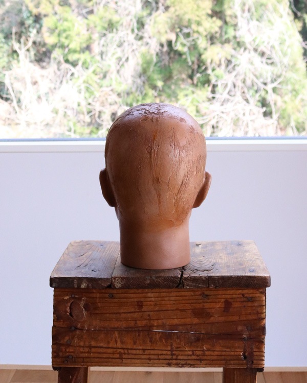 Mens Mannequin Head A�å�� �ޥͥ���إå� A