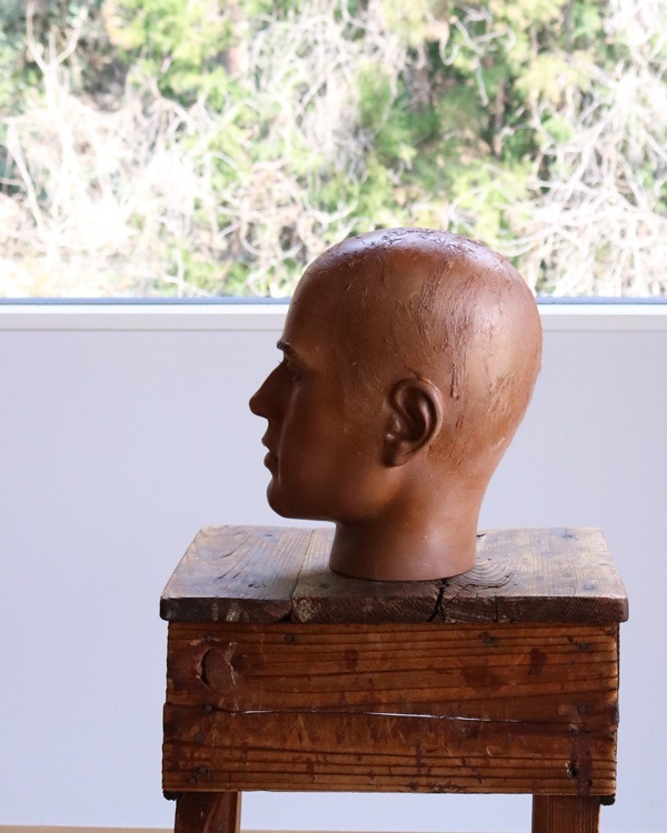 Mens Mannequin Head A�å�� �ޥͥ���إå� A