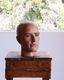 Mens Mannequin Head A�å�� �ޥͥ���إå� A
