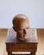 Mens Mannequin Head A�å�� �ޥͥ���إå� A