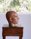 Mens Mannequin Head A�å�� �ޥͥ���إå� A