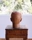 Mens Mannequin Head A�å�� �ޥͥ���إå� A